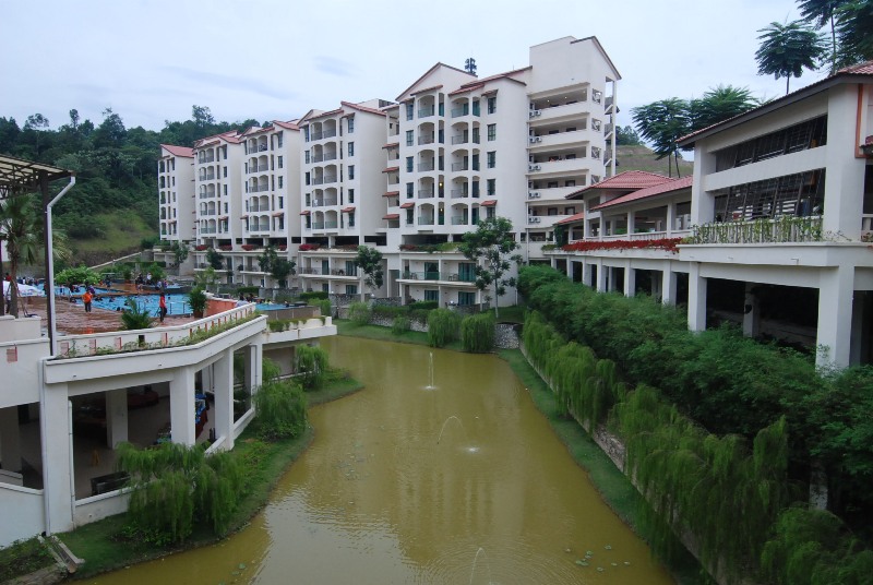 DSC 5878